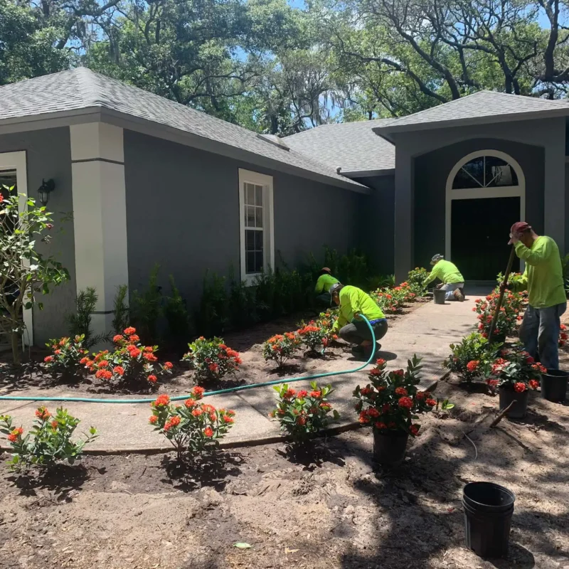 Winter Garden, FL Landscape Installation