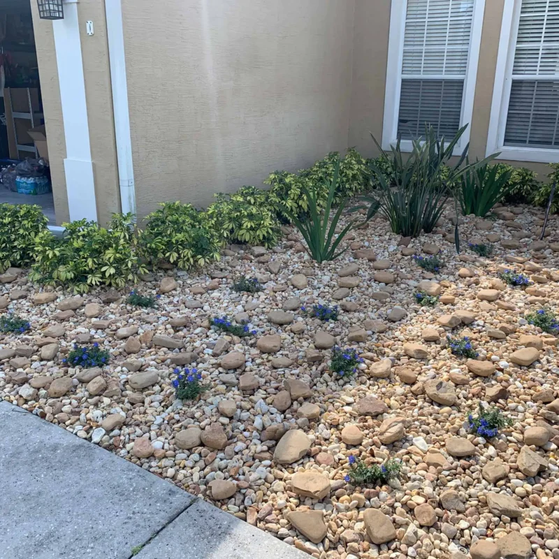 Winter Garden, FL Landscaping Services