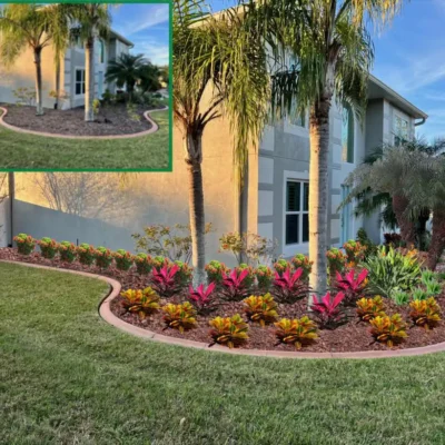 Landscape Designer Winter Garden, FL