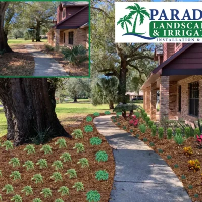 Landscape Designer Winter Garden, FL