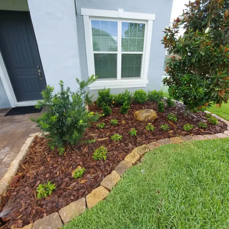 Winter Garden, FL Landscape Installation