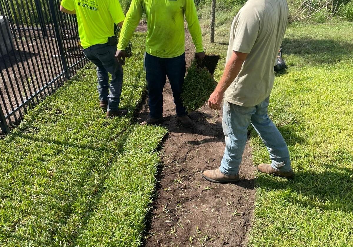 team installing artificial turf