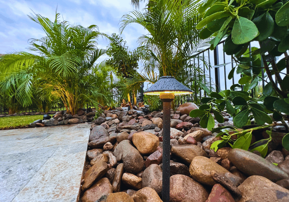 Outdoor Backyard Landscape Lighting